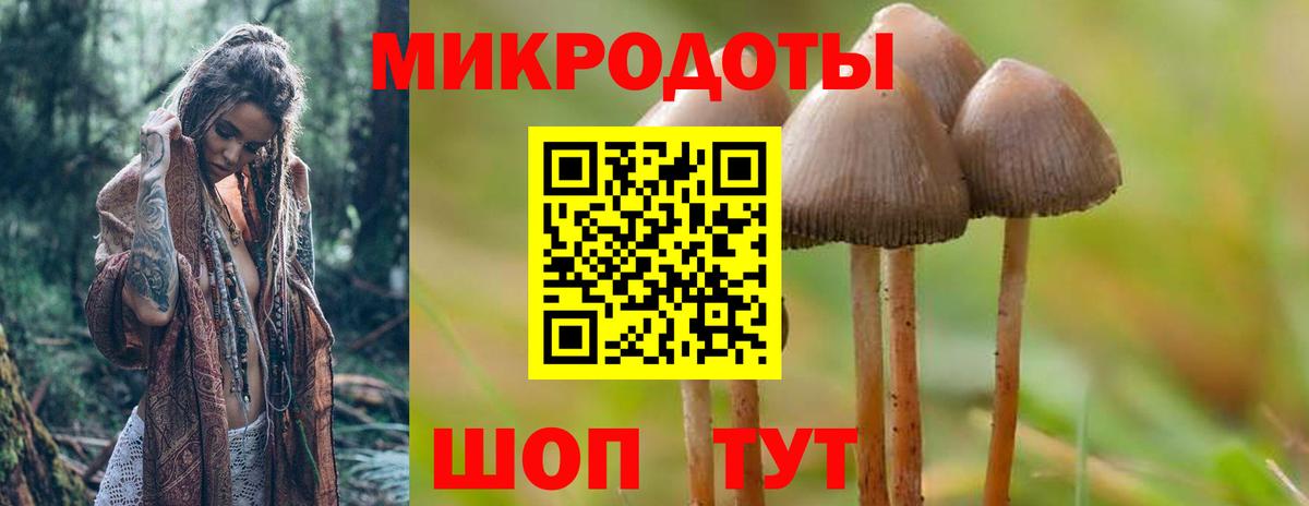Балашов  Галлюциногенные грибы GOLDEN TEACHER  Вход с VPN 