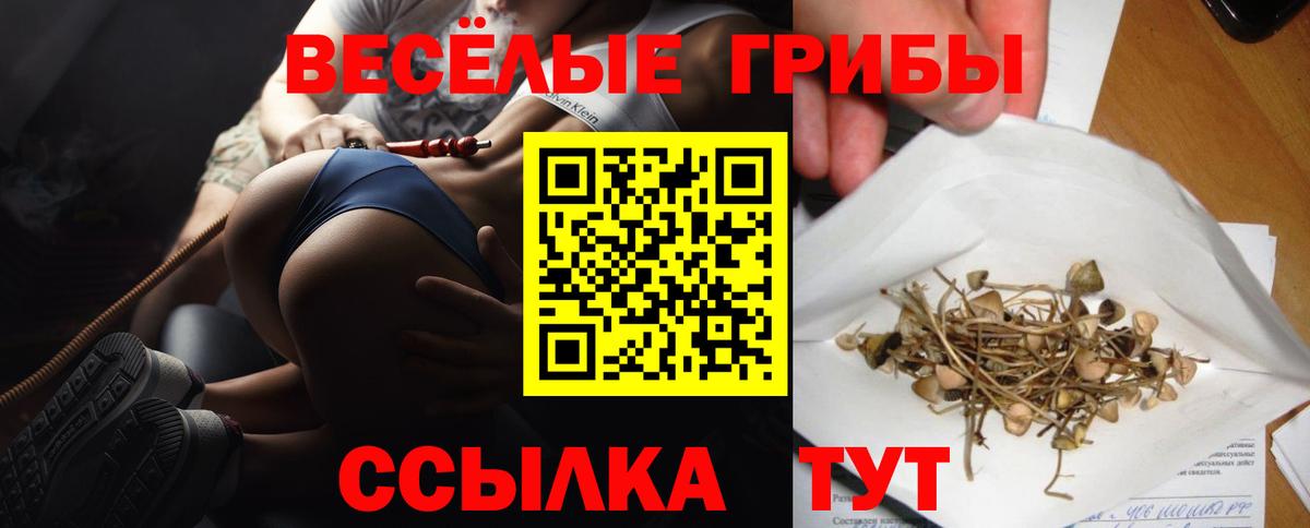 Балашов  ГАШИШ  Меф МЯУ МЯУ   A PVP СОЛЬ кристаллы  Героин  Бошки Шишки  Вход с VPN  Меф  КОКАИН 